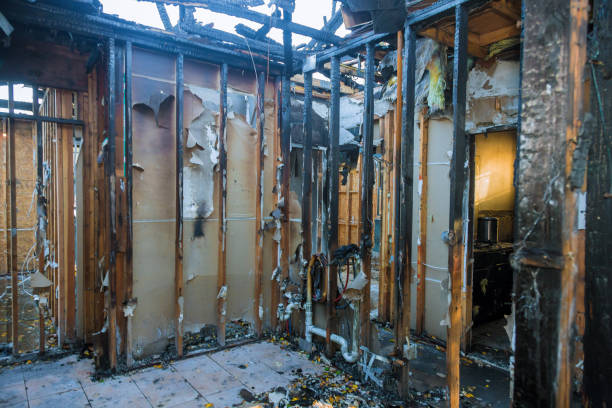 Professional Fire Damage Removal technician working in Irvine, KY